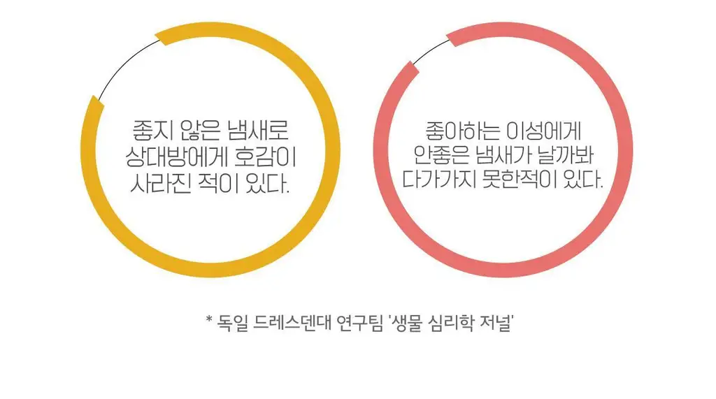 잇퓸 옐로 24C 상세페이지 7