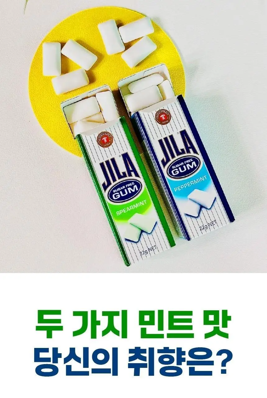 자일라 무설탕 껌 22g 2종 (스피어민트향, 페퍼민트향) 택 1 상세페이지 10