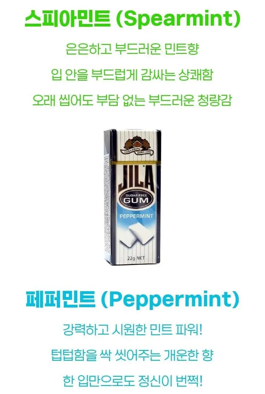 자일라 무설탕 껌 22g 2종 (스피어민트향, 페퍼민트향) 택 1 상세페이지 12