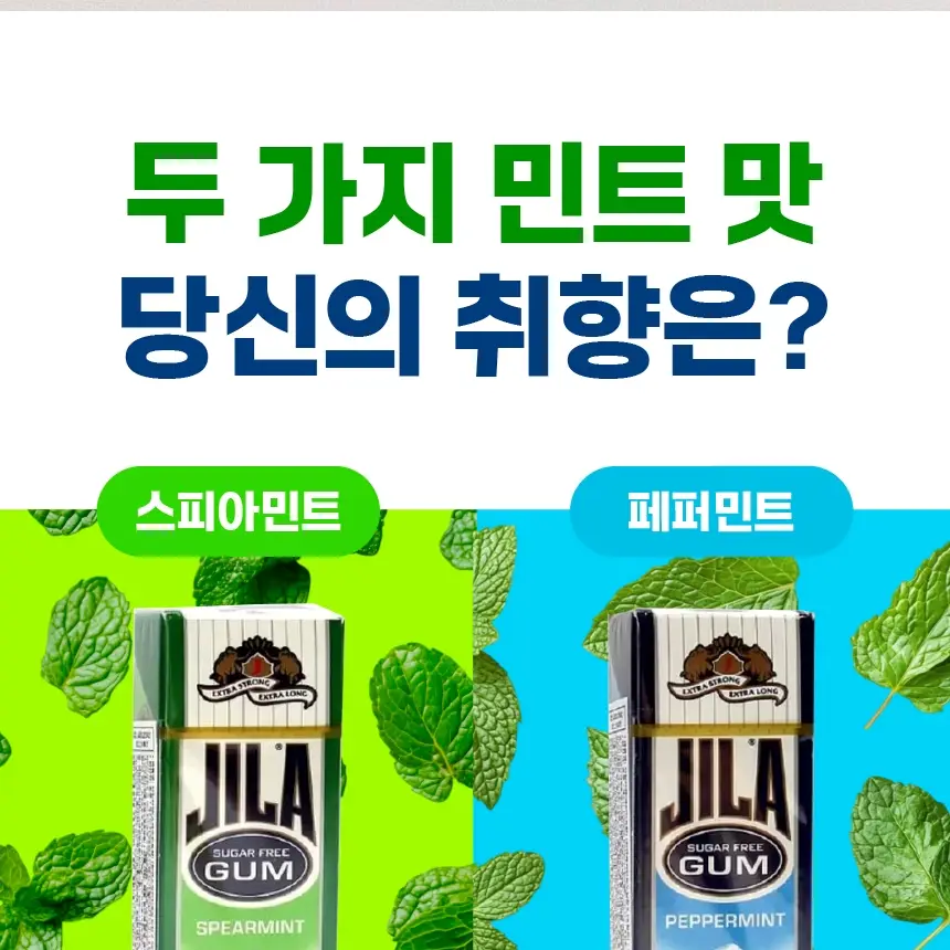 자일라 무설탕 스피어민트 껌 22g 상세페이지 14