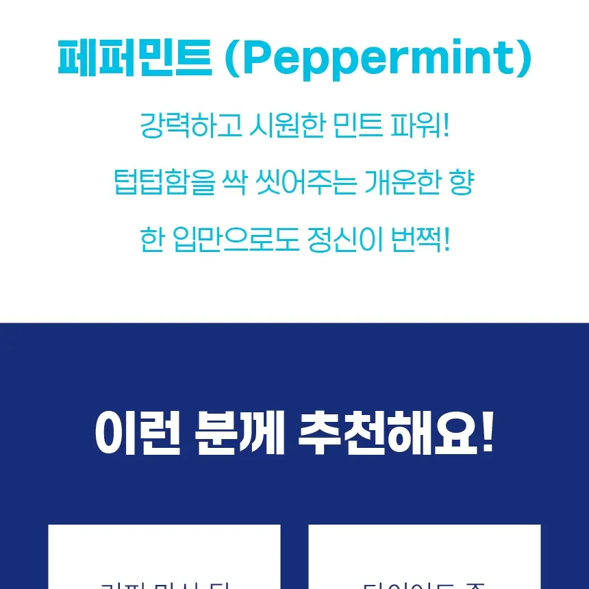 자일라 무설탕 스피어민트 껌 22g 상세페이지 17