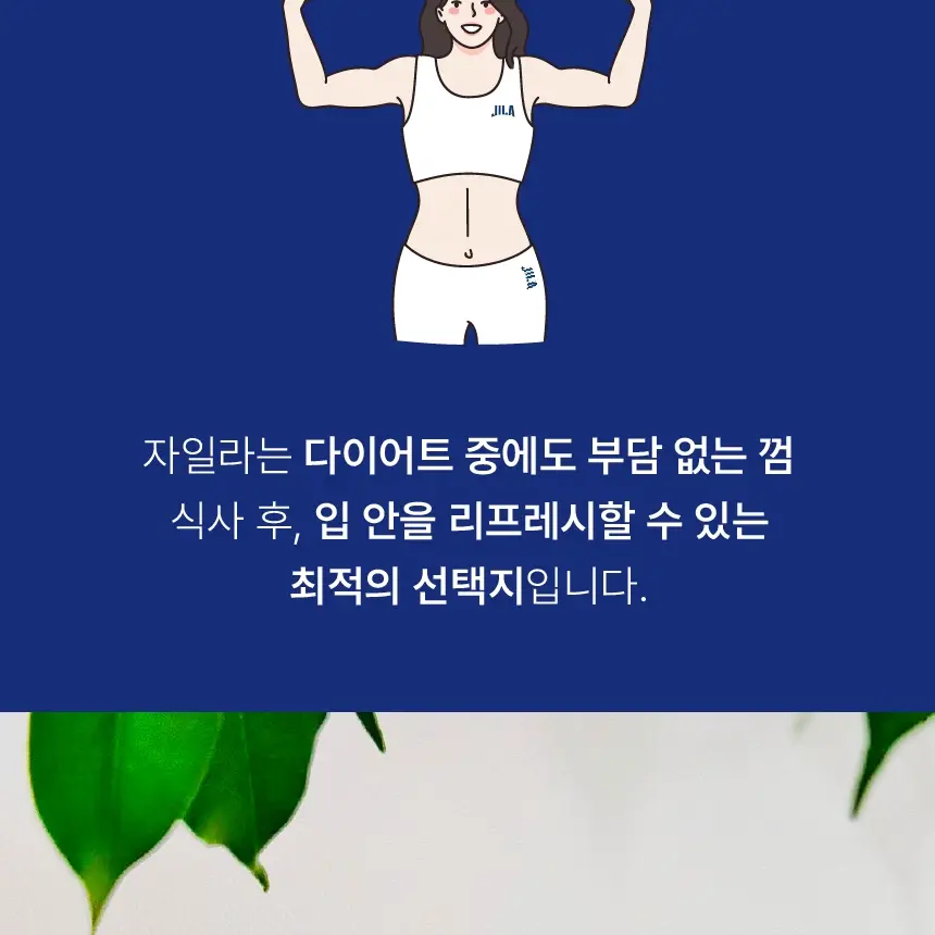 자일라 무설탕 페퍼민트 껌 22g 상세페이지 12