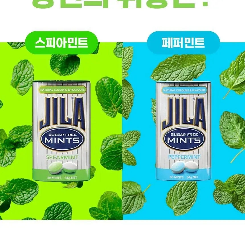 자일라 페퍼민트 무설탕 캔디 34g 상세페이지 14