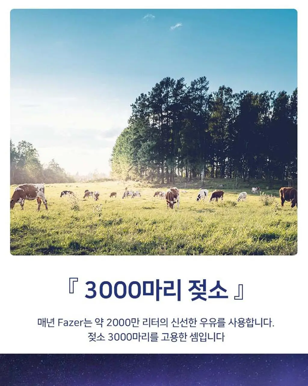 칼파제르 밀크 초콜릿 39g 상세페이지 6
