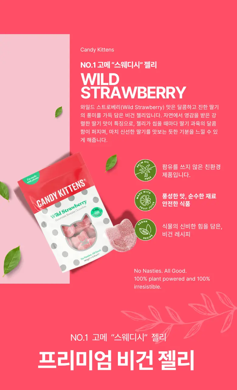 캔디키튼스 54G 3종 택1 상세페이지 8