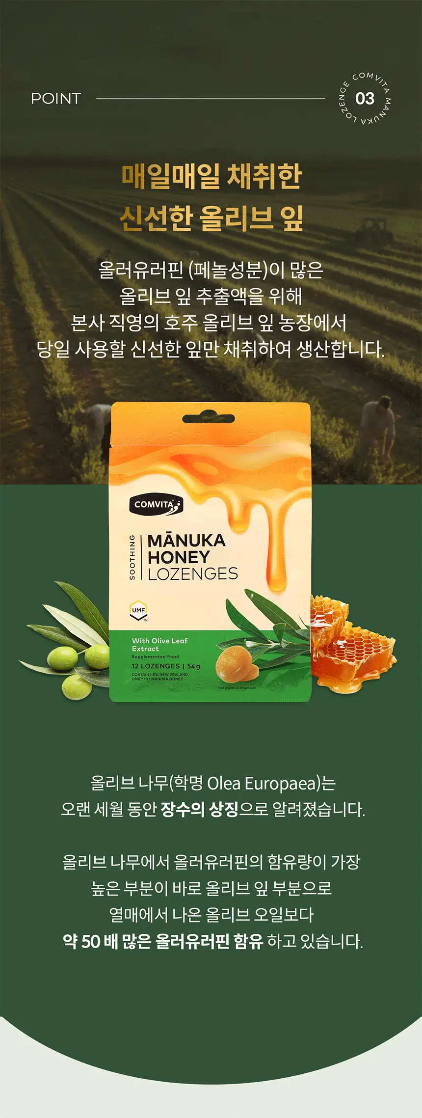 콤비타 UMF10+ 마누카꿀 로젠지 꿀캔디 모음 상세페이지 74