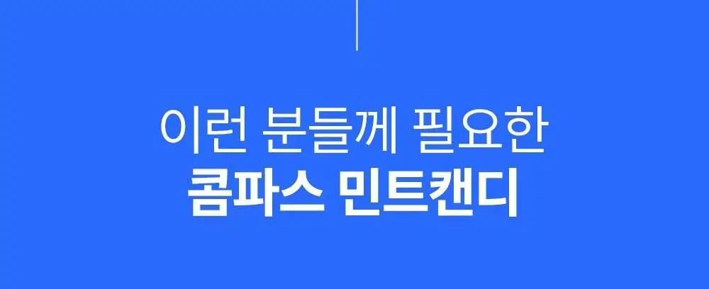 콤파스 민트 슈가프리 캔디 14g 스피어민트 상세페이지 8