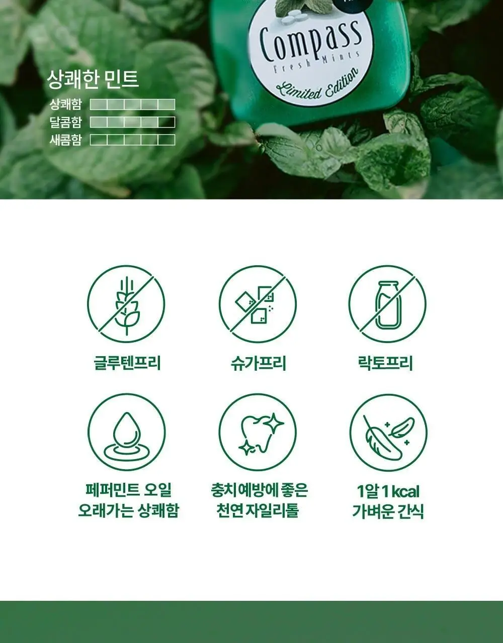 콤파스 민트 슈가프리 캔디 14g 페퍼민트 상세페이지 3