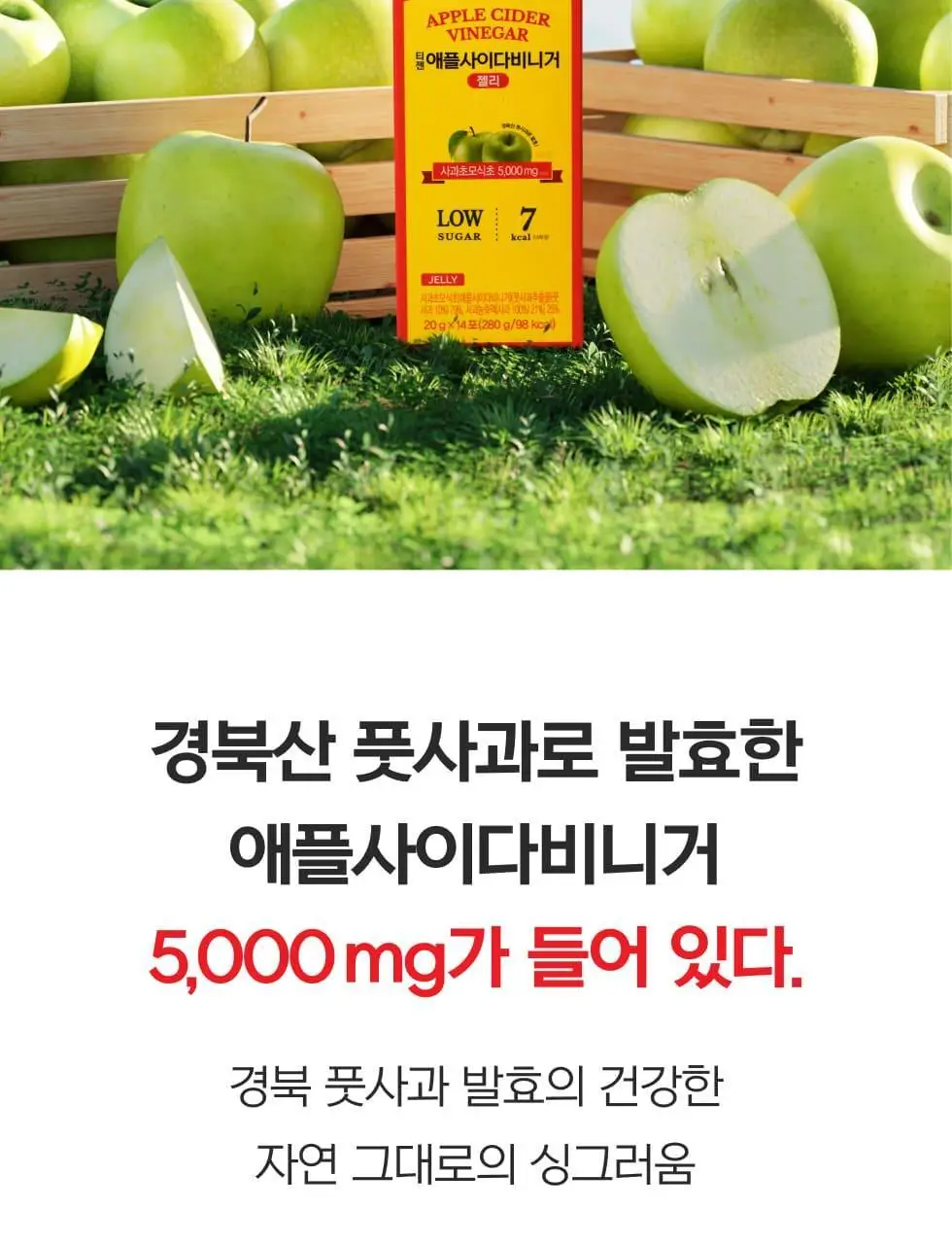 티젠 애플사이다비니거 젤리 14T 상세페이지 13