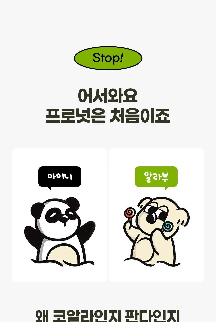 프로넛 무설탕 자일리톨 캔디 30g 레몬향 상세페이지 38
