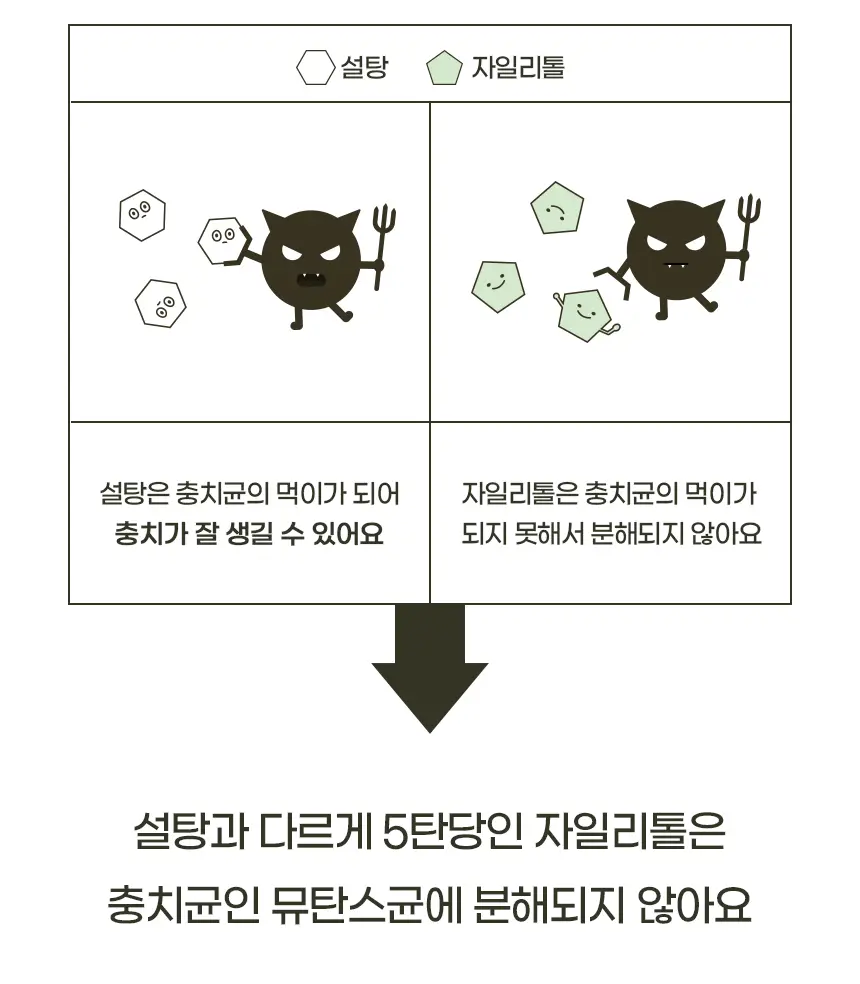 프로넛 무설탕 자일리톨 캔디 30g 6종 택1 상세페이지 29