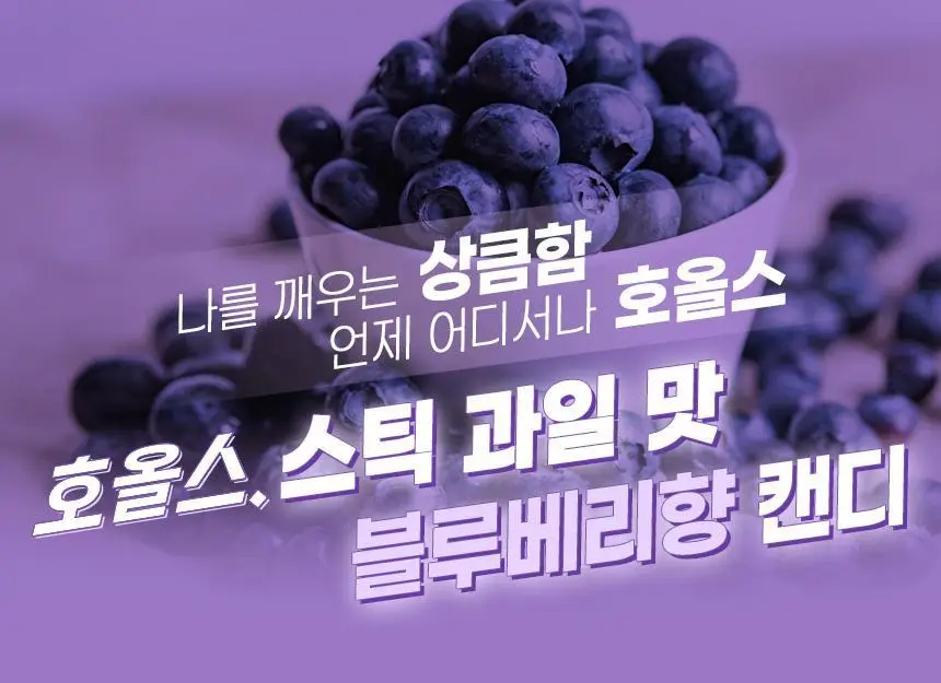 호올스 스틱 블루베리 27.9g 상세페이지 2