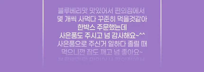 호올스 스틱 블루베리 27.9g 상세페이지 7
