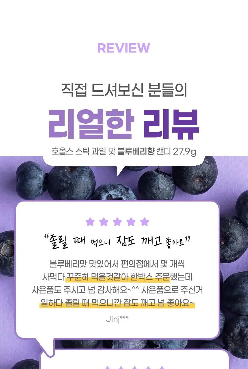 호올스 스틱 블루베리 27.9g 상세페이지 12