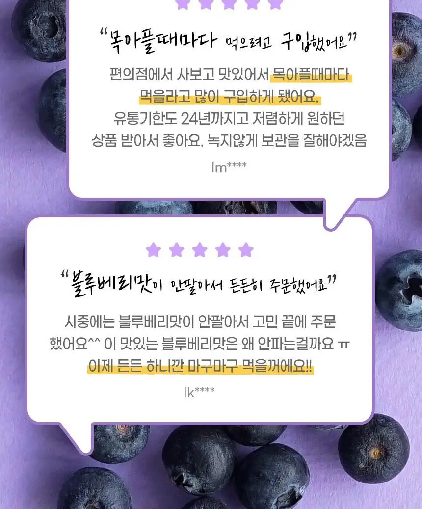호올스 스틱 블루베리 27.9g 상세페이지 13