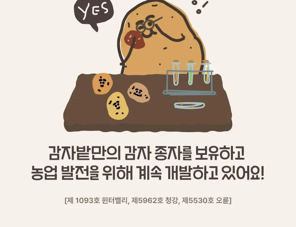 감자밭 오리지널 감자빵 2종 택1 (오리지널/두바이) 상세페이지 16