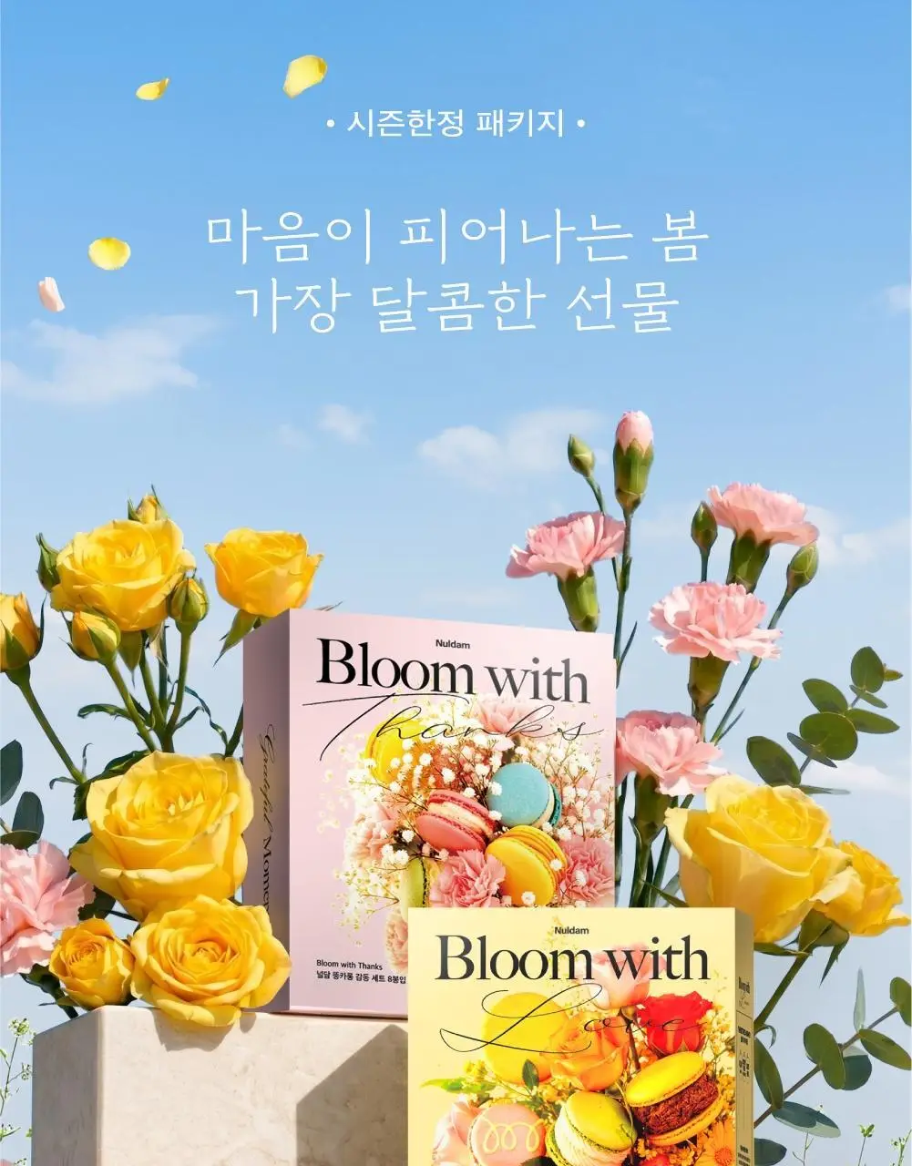 널담 마카롱 8구 2종 (사랑/감동세트) 상세페이지 5