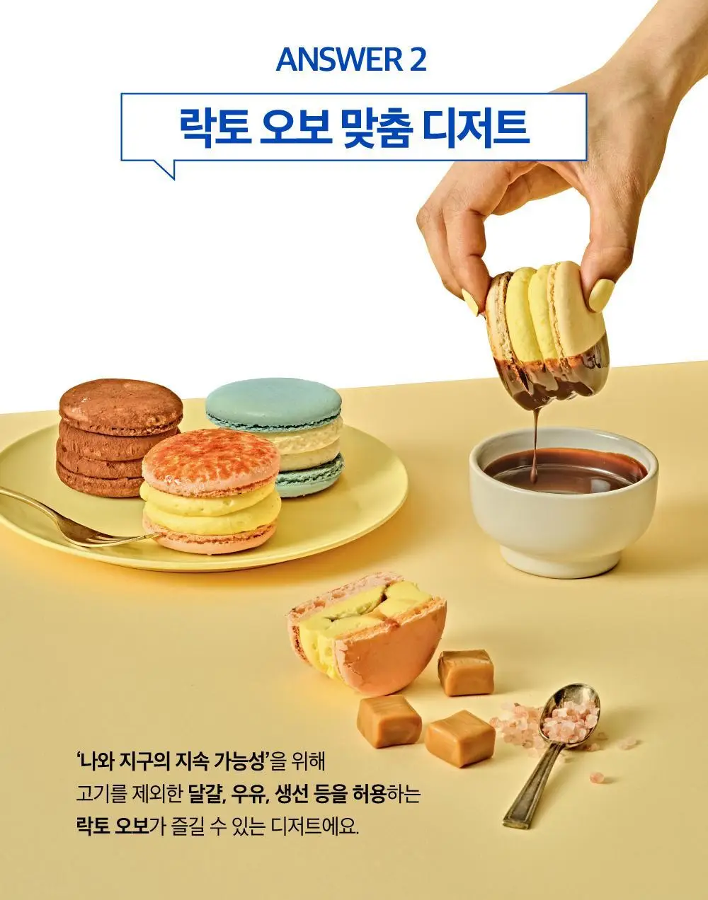 널담 마카롱 8구 2종 (사랑/감동세트) 상세페이지 12