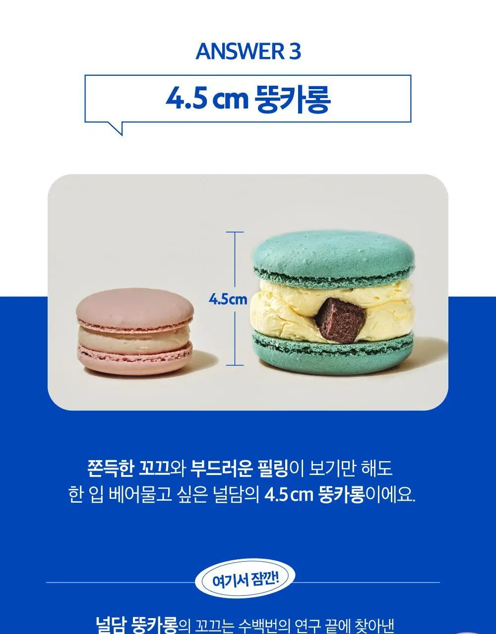 널담 마카롱 8구 2종 (사랑/감동세트) 상세페이지 13