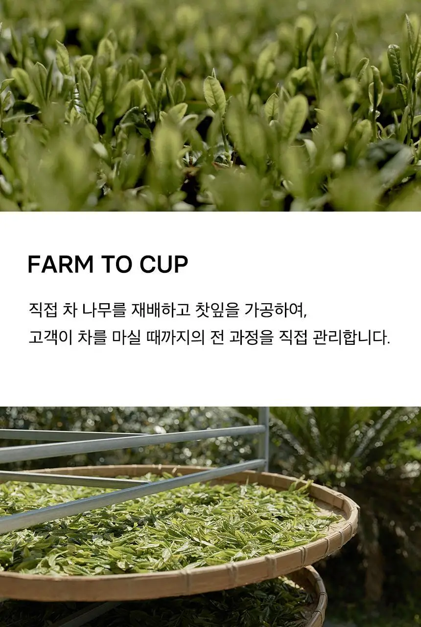 오설록 와플 티타임 3종세트 (프리미엄 녹차와플/세작 3입/달빛걷기 3입) 상세페이지 7