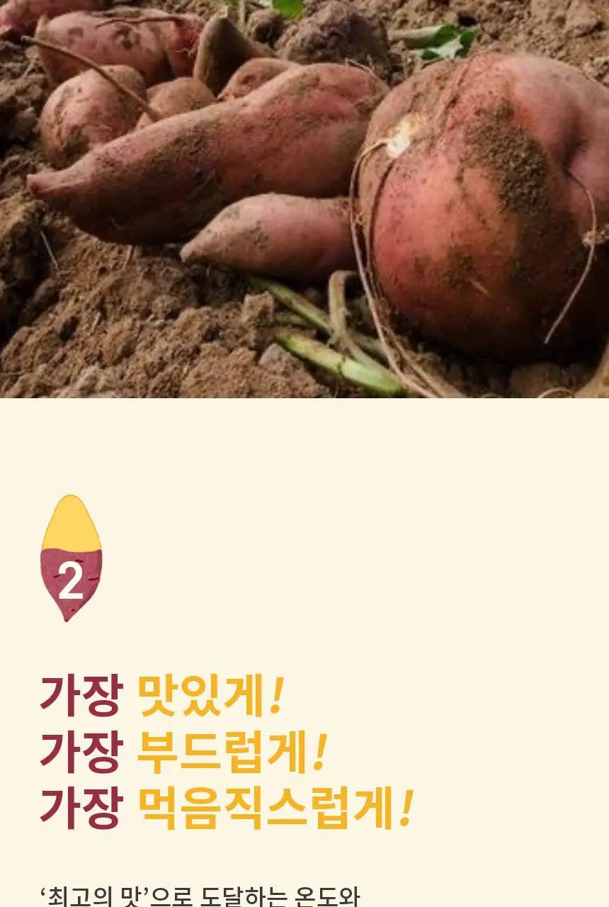 산골이유식 산골 고구마 70g 상세페이지 7