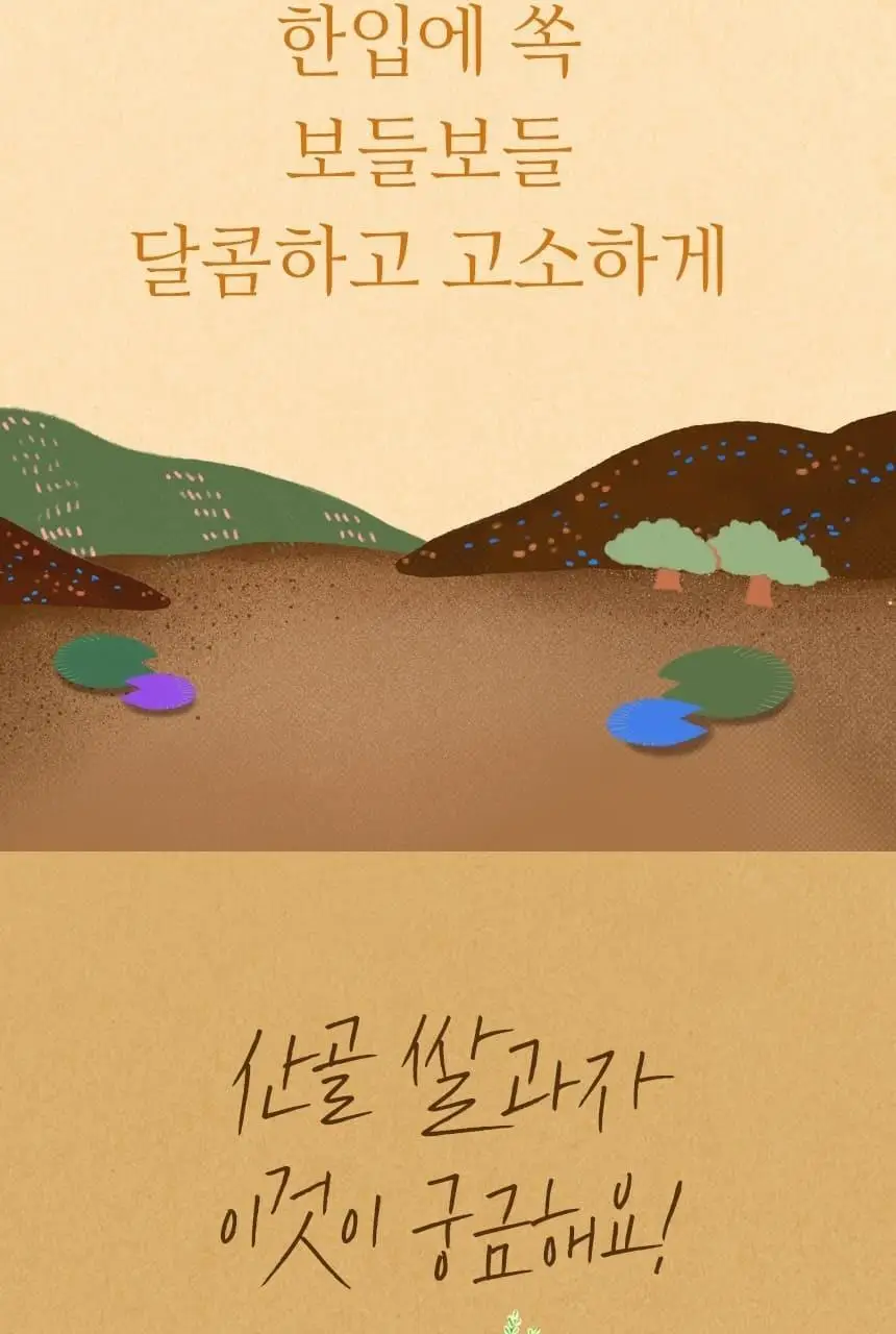 산골이유식 산골 쌀과자 40g 2종 택 1 상세페이지 11