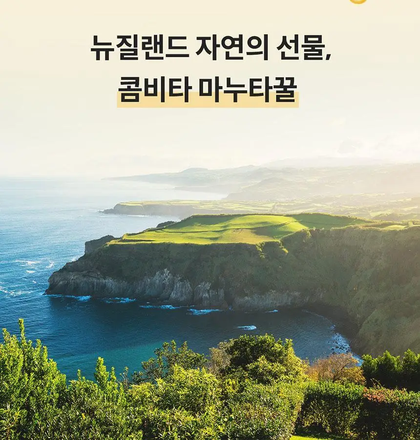 콤비타 키즈 UMF10+ 마누카꿀 수딩 팝스 (15입) 상세페이지 13