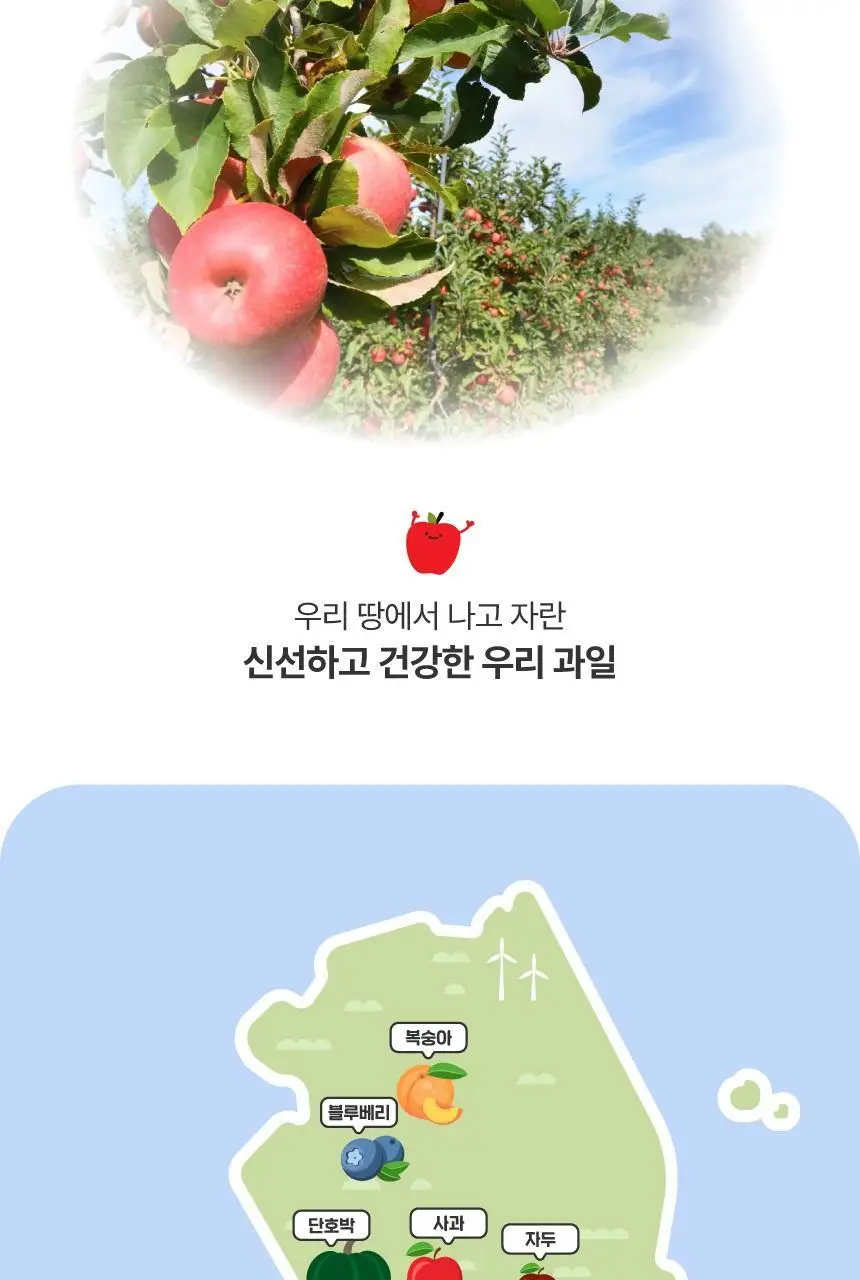 프레벨롱 국산 떠먹는 퓨레 10종 (각 100g*2개입) 상세페이지 5