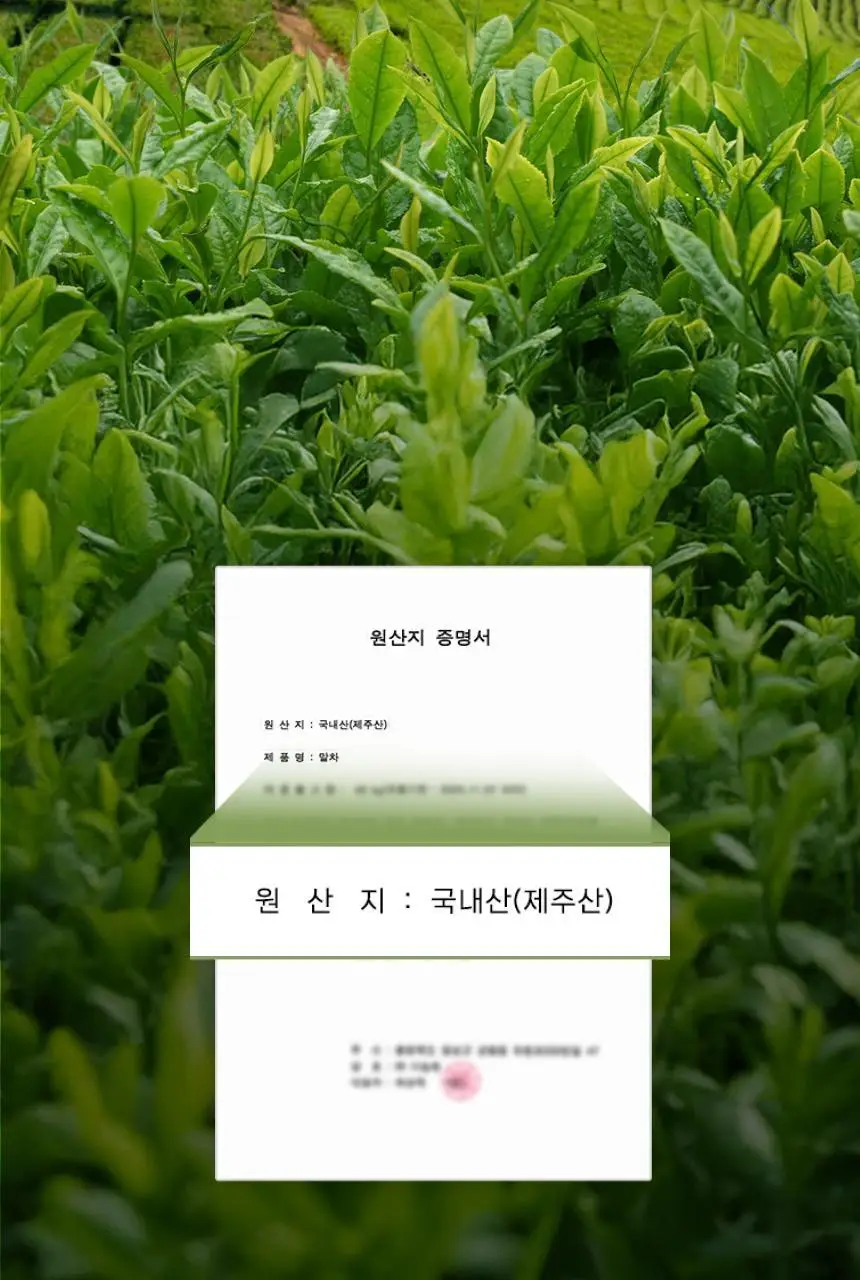 가루선생 타먹는 생두유 20g 7개입 제주 말차 상세페이지 12