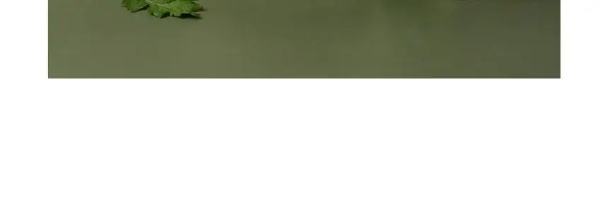 가루선생 타먹는 생두유 20g 7개입 제주 말차 상세페이지 34