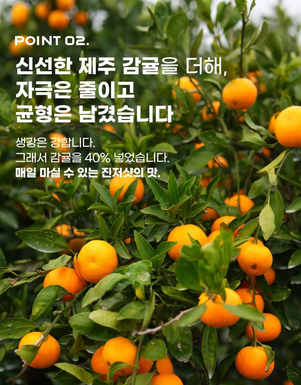 귤메달 데일리 감귤진저샷 50ml 7개입 상세페이지 16