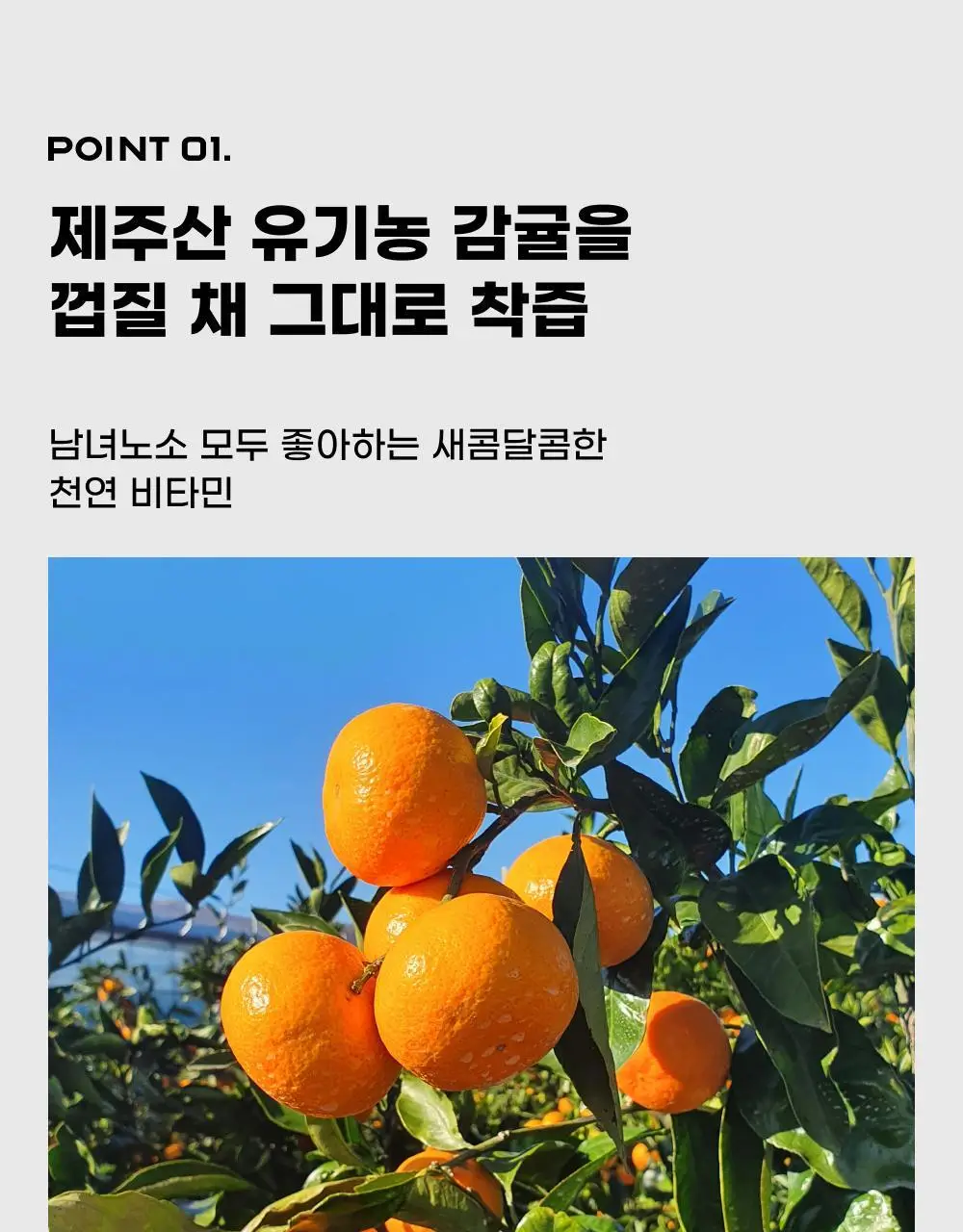 귤메달 시트러스 착즙주스 150ml 7ea (4종 중 택1) 상세페이지 9