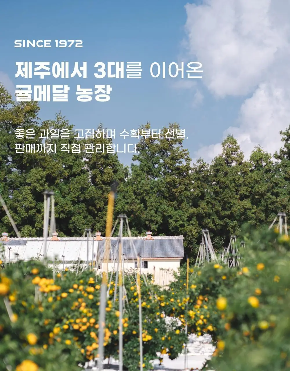 귤메달 시트러스 착즙주스 150ml 7ea (4종 중 택1) 상세페이지 18