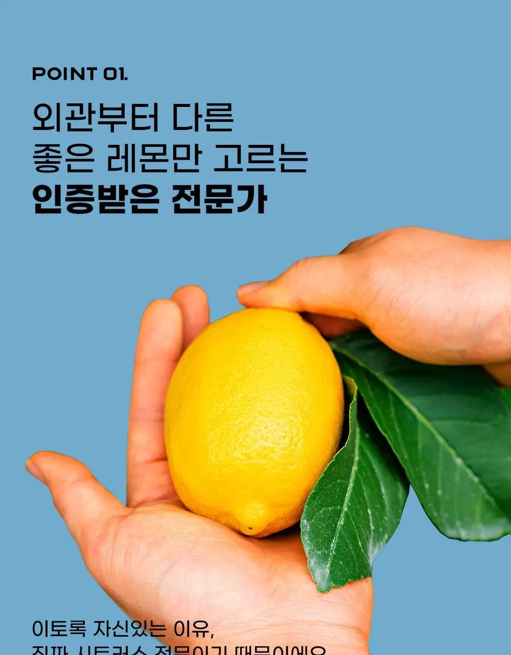 귤메달 유기농 레몬즙 / 유기농 청귤즙 상세페이지 11