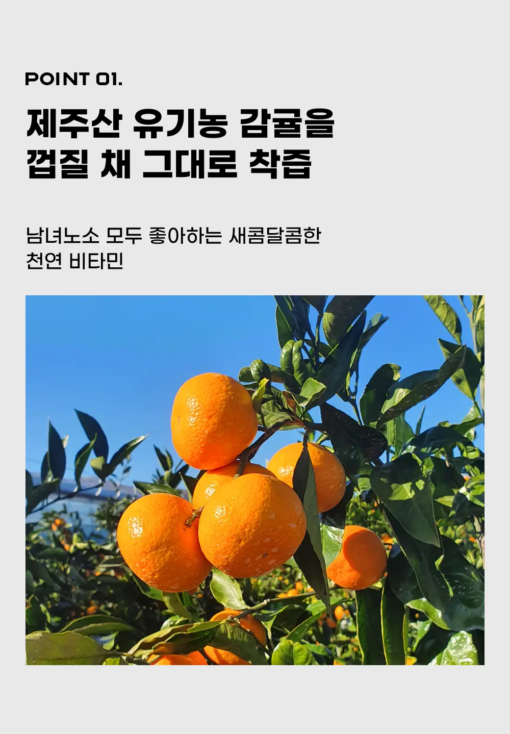 귤메달 유기농감귤주스 500ml 상세페이지 6