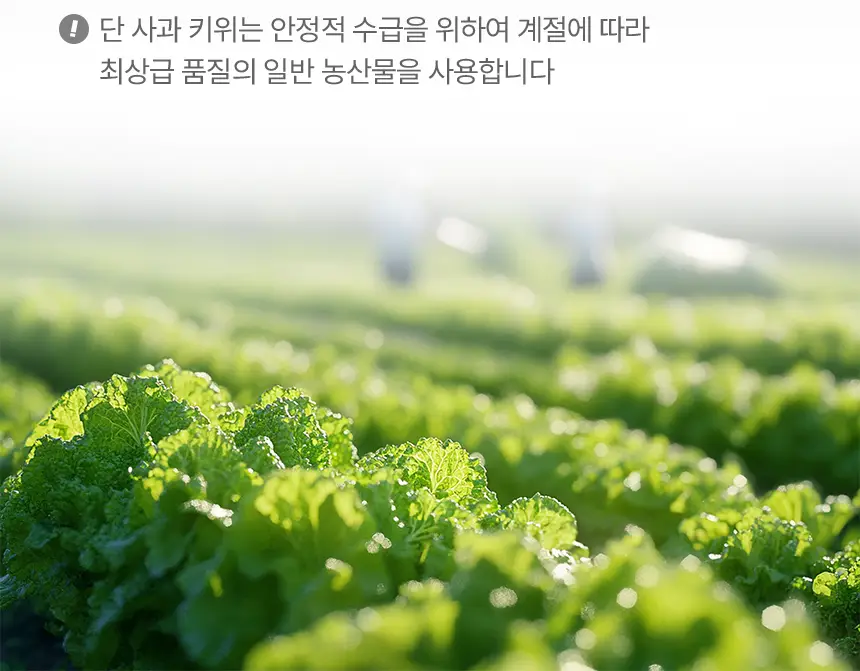 그리니팅 파이토 그린스무디 200ml (5개/10개/15개/20개) 상세페이지 30