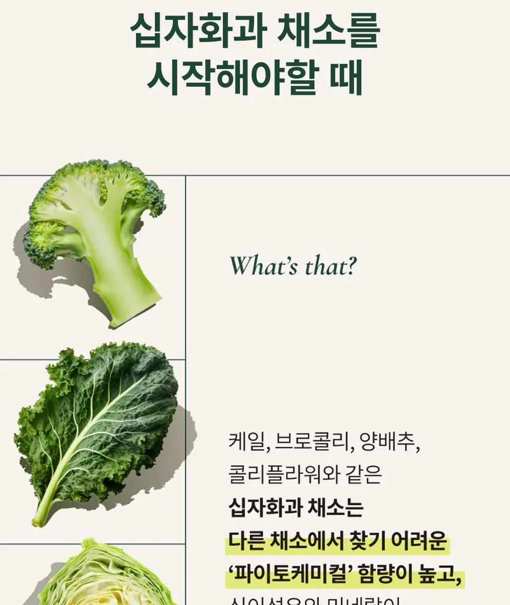 그린닷츠 언스위트 스무디 12팩 4종 택1(펌킨/비트/아보카도/케일) 상세페이지 5