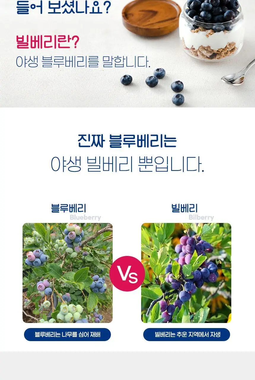 로버츠베리에 100ml 6팩 3 중 택1 상세페이지 4