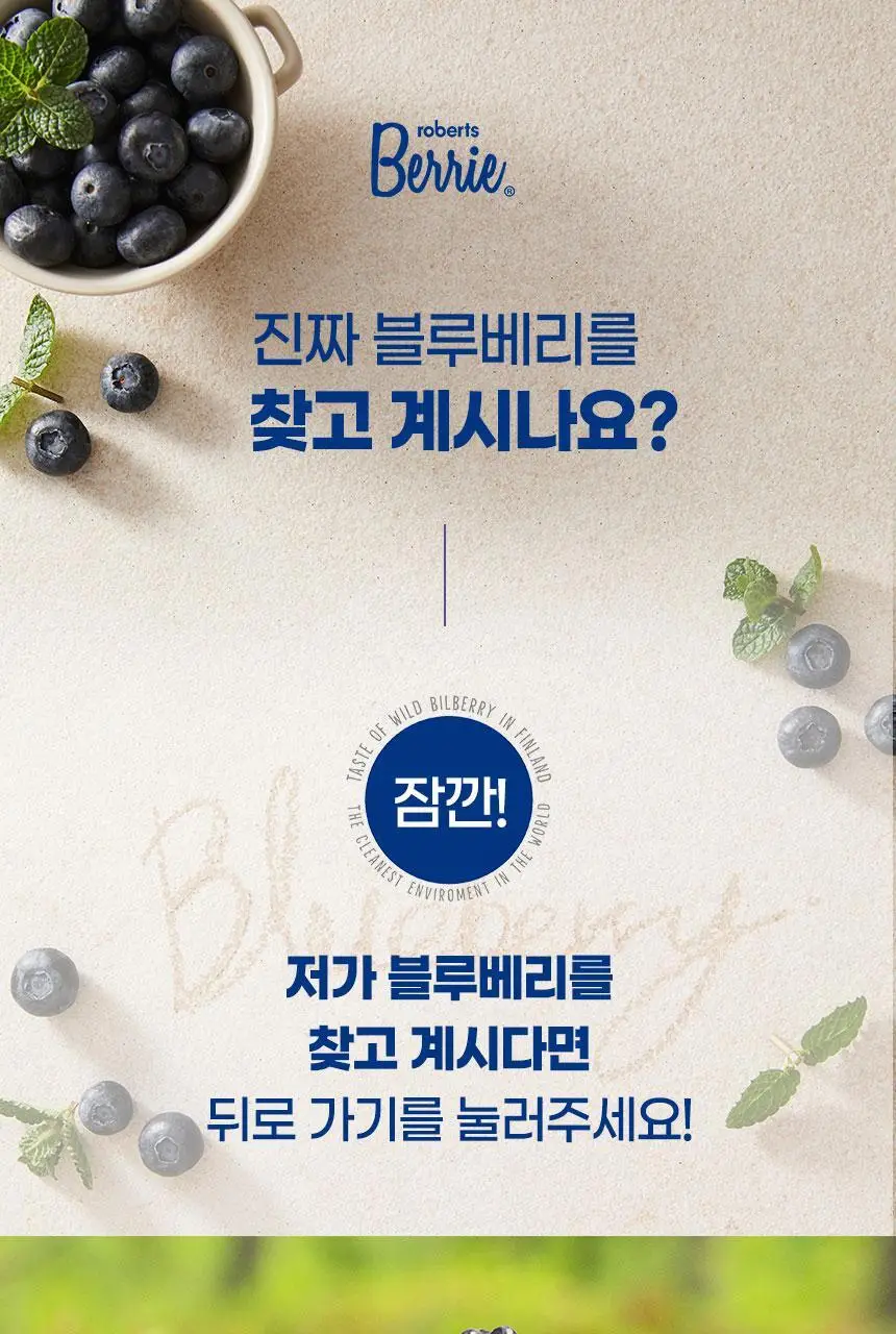 로버츠베리에 100ml 6팩 3 중 택1 상세페이지 29