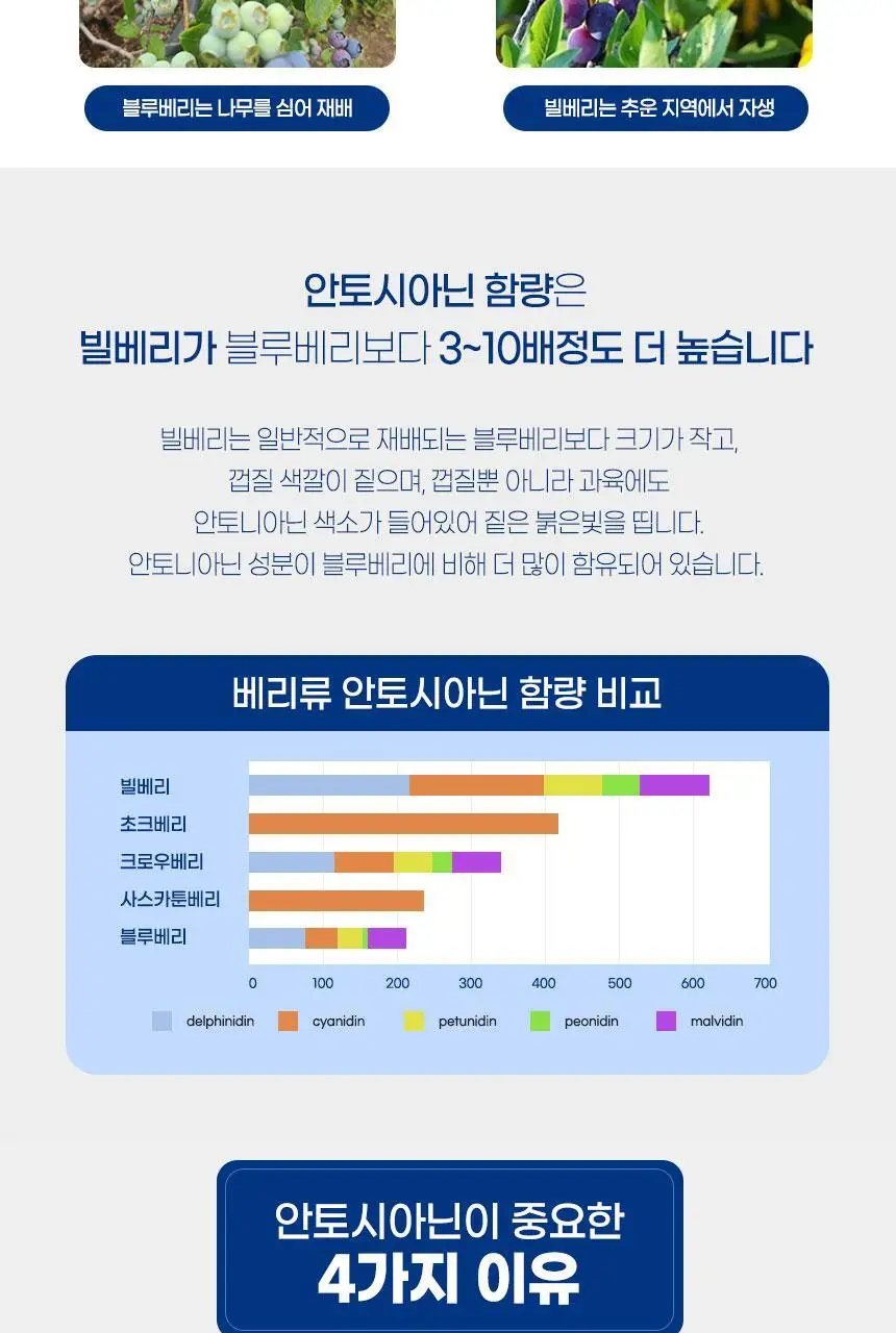로버츠베리에 100ml 6팩 3 중 택1 상세페이지 33