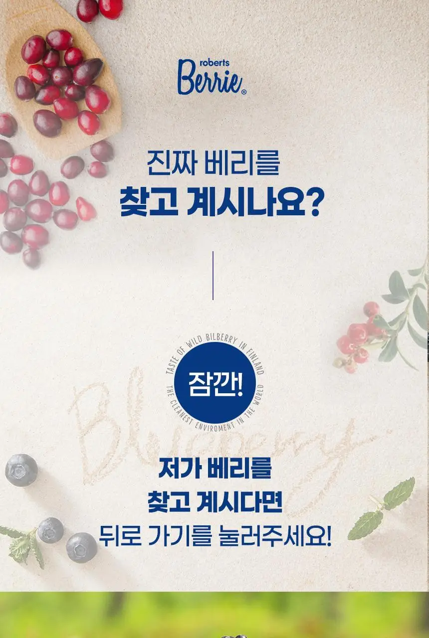 로버츠베리에 100ml 6팩 3 중 택1 상세페이지 58