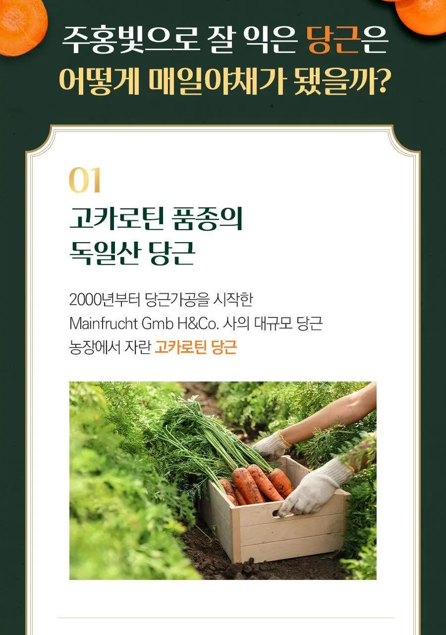 매일야채 고농축 당근의 힘 125ml 상세페이지 11