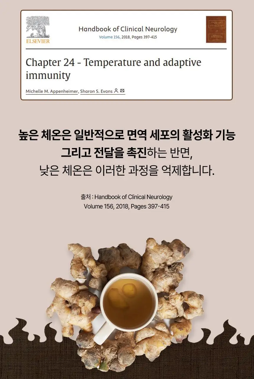 메디트리 순 유기농 레몬즙 100 15포 (2중 1택) (레몬즙/레몬생강즙) 상세페이지 37
