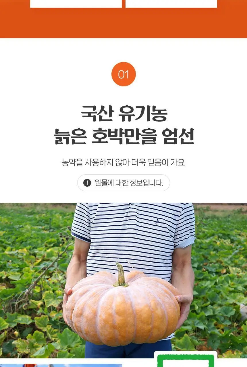 몸애쏙쏙 유기농 호박즙 100ml 30개입 상세페이지 3