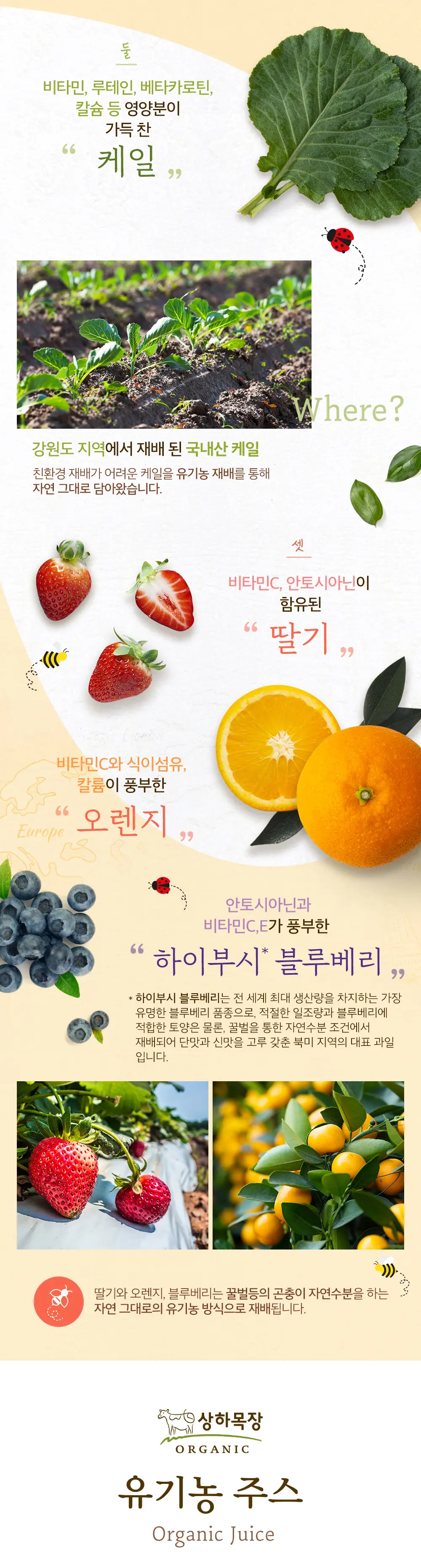 상하목장 유기농 주스 125ml 3종 골라담기 택1 상세페이지 5