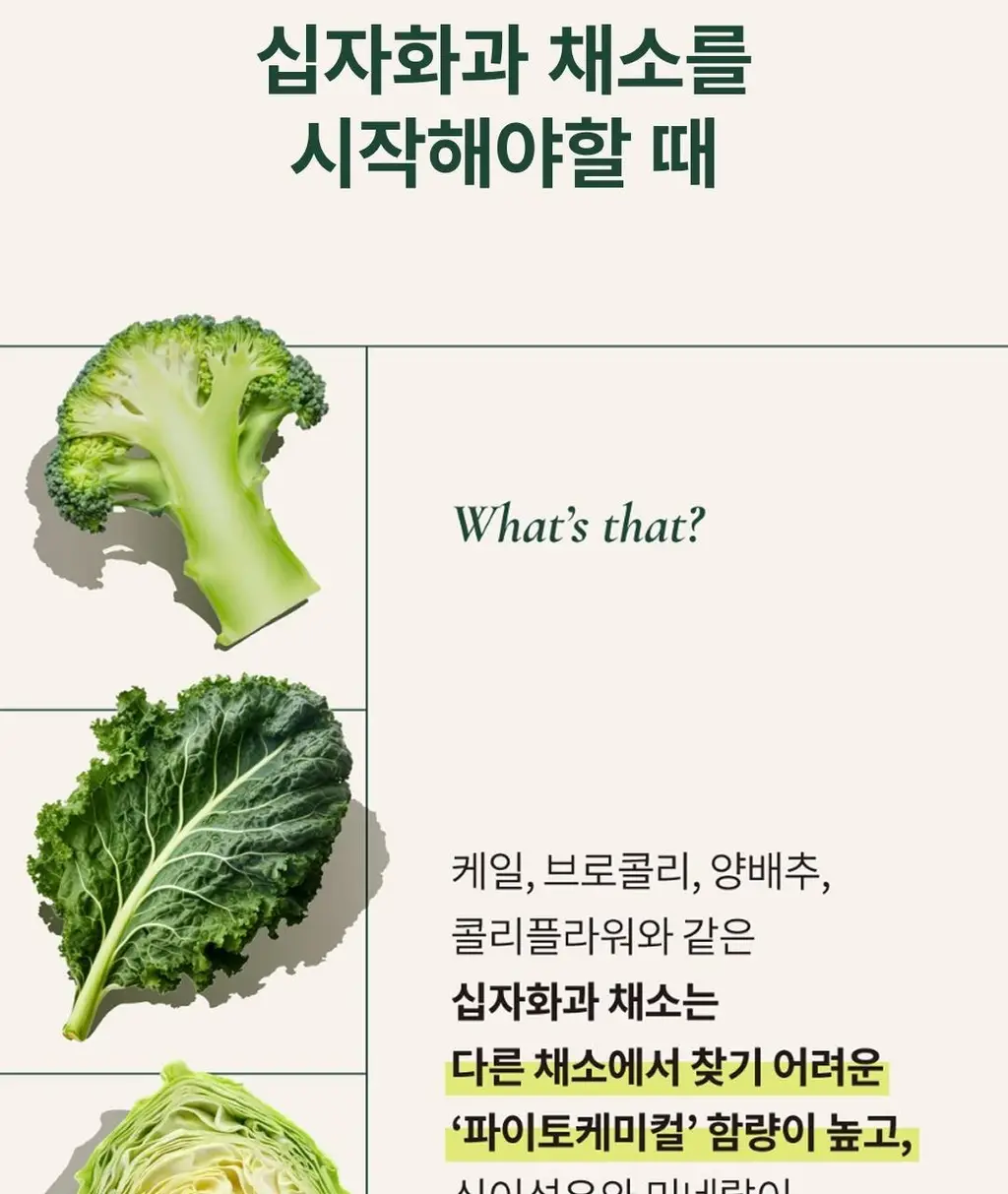 십자화과 스무디 12팩 3종 택1(케일/아보카도/맛차) 상세페이지 5