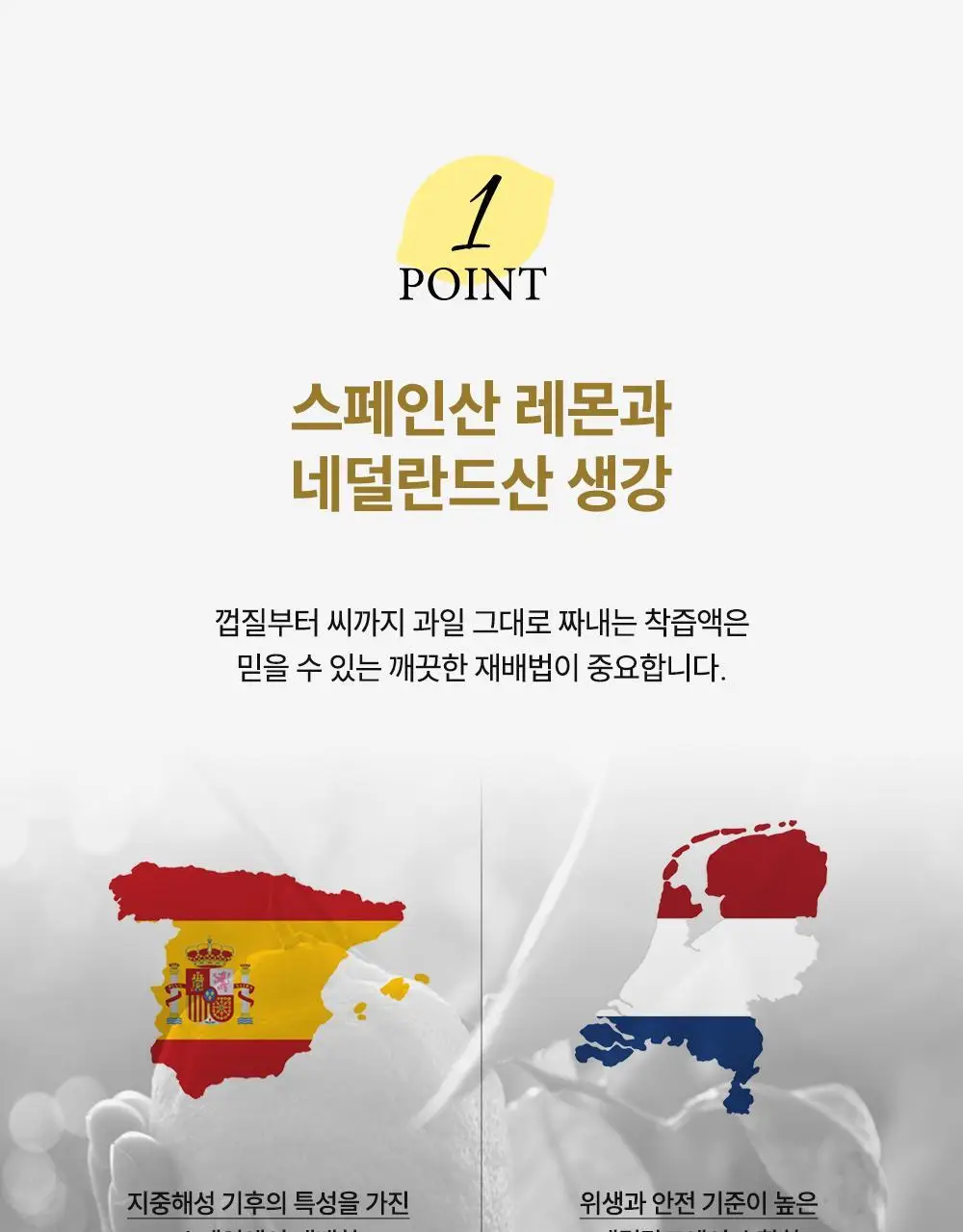 에버봄 레몬진저주스14포 상세페이지 11