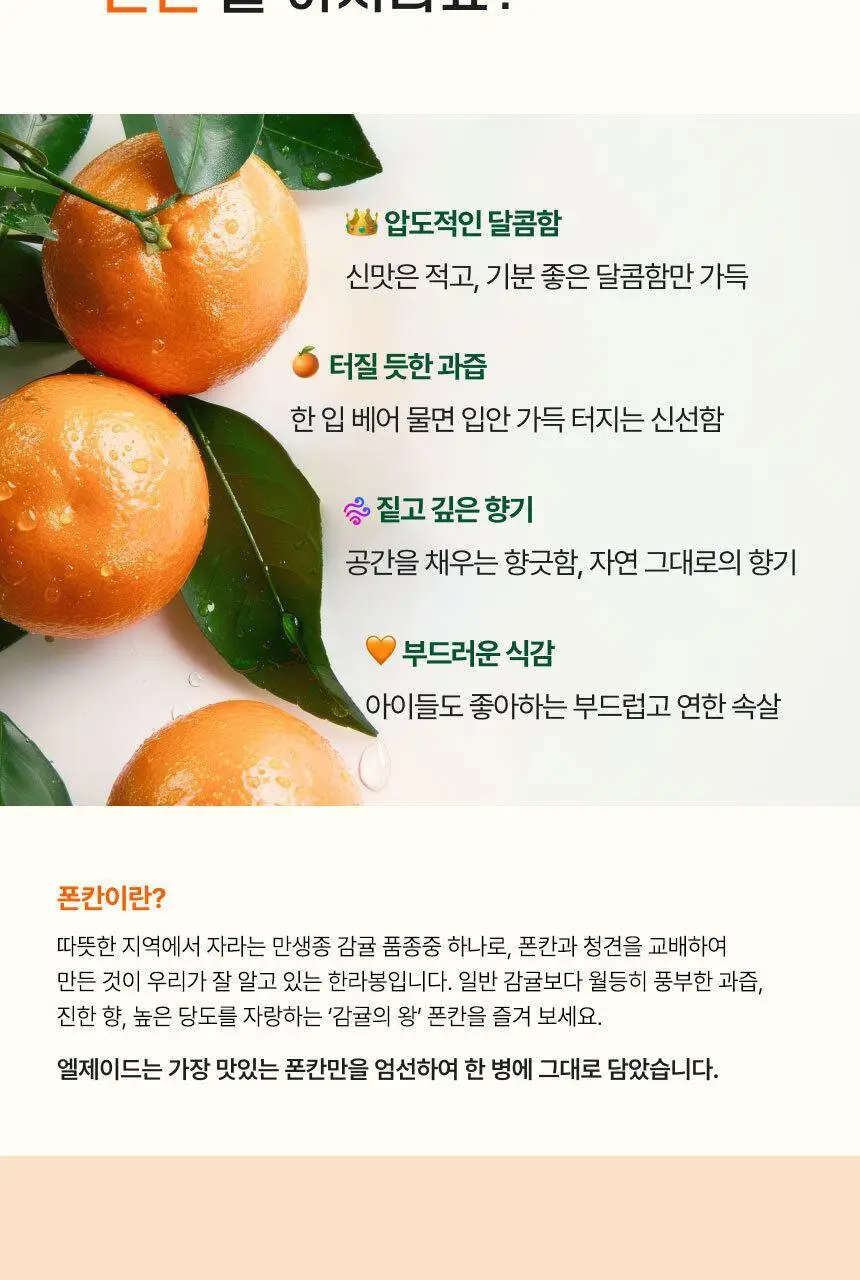 엘제이드 얼린 폰칸 감귤주스 250mL 6개입 상세페이지 5