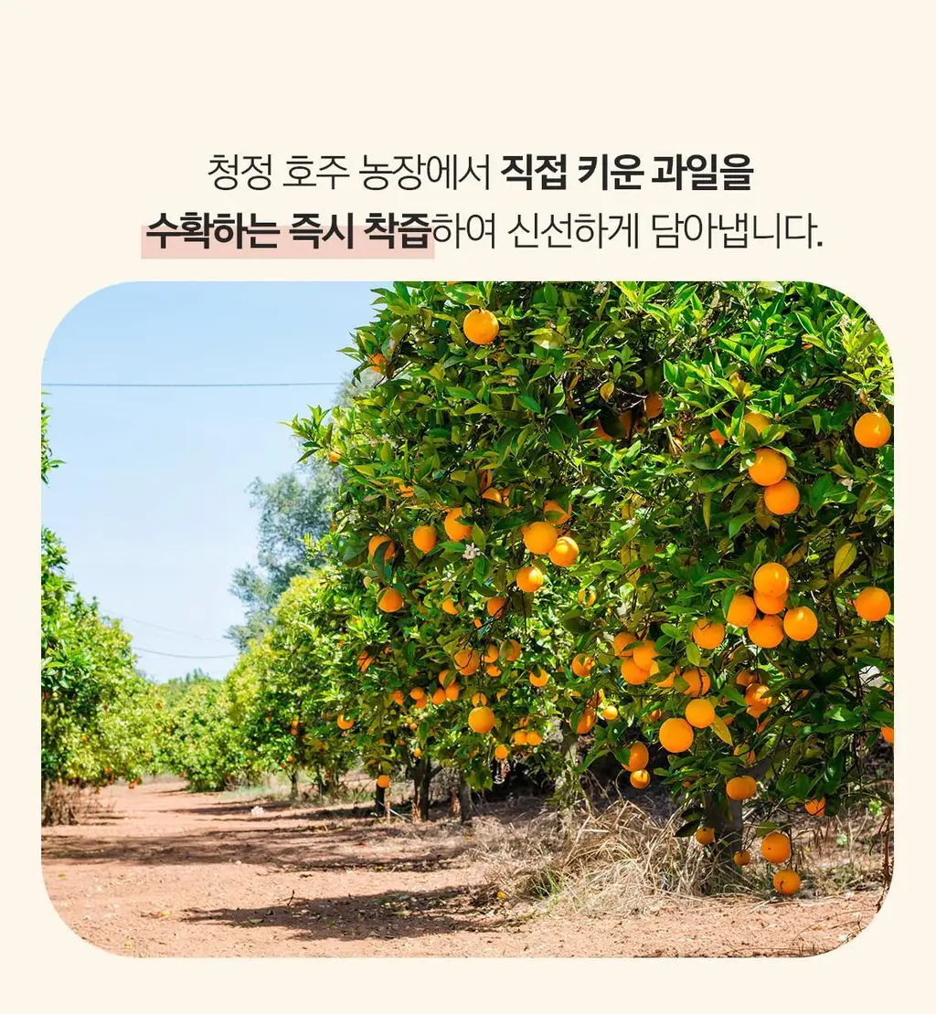 임프레스드 오렌지, 베리블리스, 그린스프림 300ml*12ea 중 택1 상세페이지 28