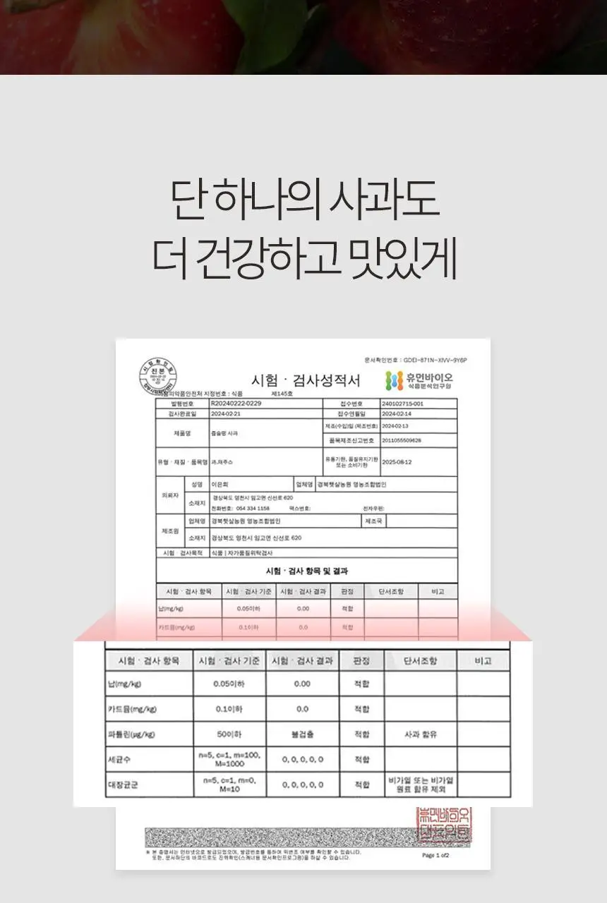 착즙하는남자 즙슐랭 사과주스 2L 상세페이지 11
